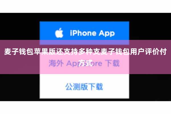 麦子钱包苹果版还支持多种支麦子钱包用户评价付方式