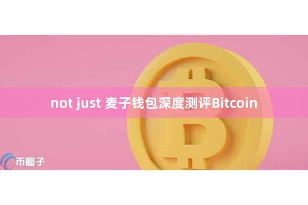 not just 麦子钱包深度测评Bitcoin