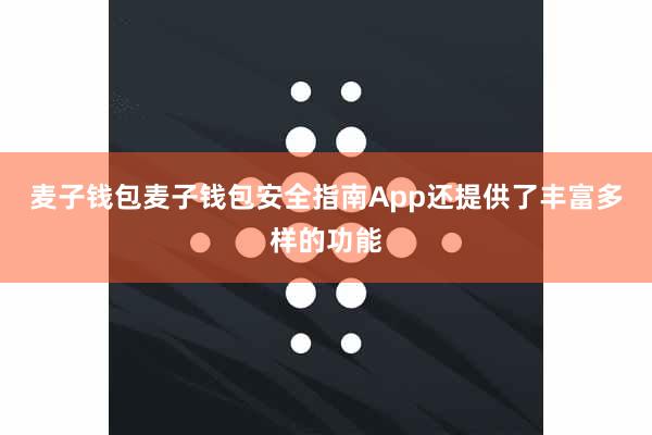 麦子钱包麦子钱包安全指南App还提供了丰富多样的功能