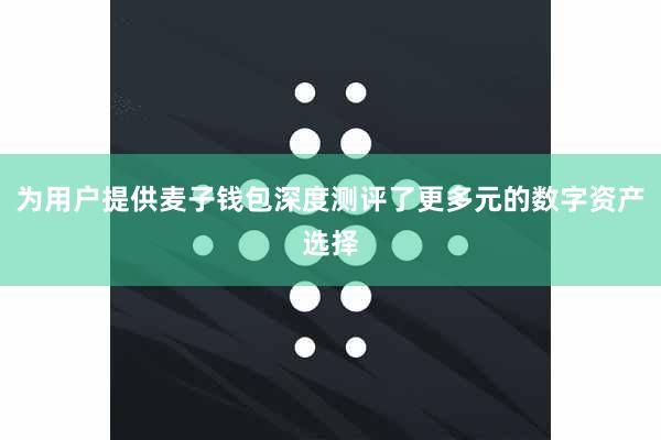为用户提供麦子钱包深度测评了更多元的数字资产选择