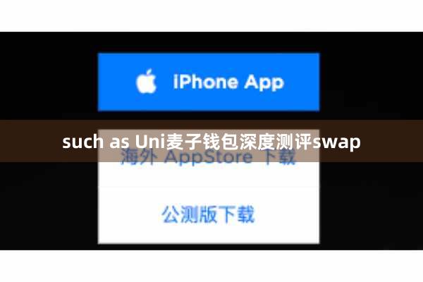 such as Uni麦子钱包深度测评swap