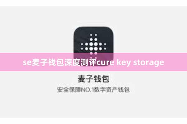 se麦子钱包深度测评cure key storage