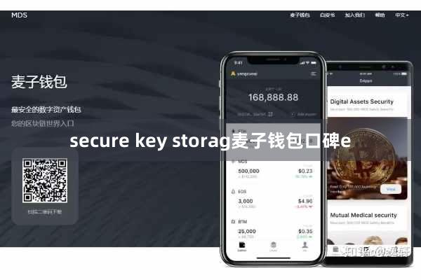 secure key storag麦子钱包口碑e