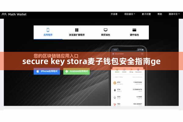 secure key stora麦子钱包安全指南ge