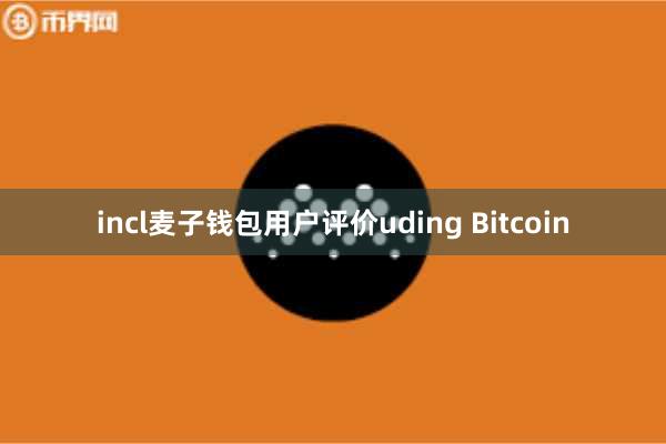 incl麦子钱包用户评价uding Bitcoin