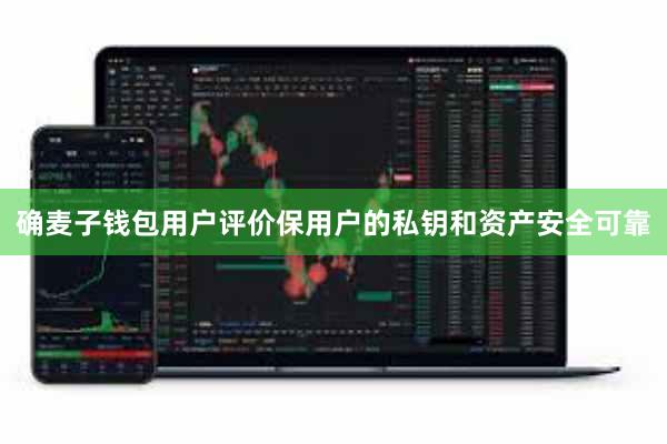 确麦子钱包用户评价保用户的私钥和资产安全可靠