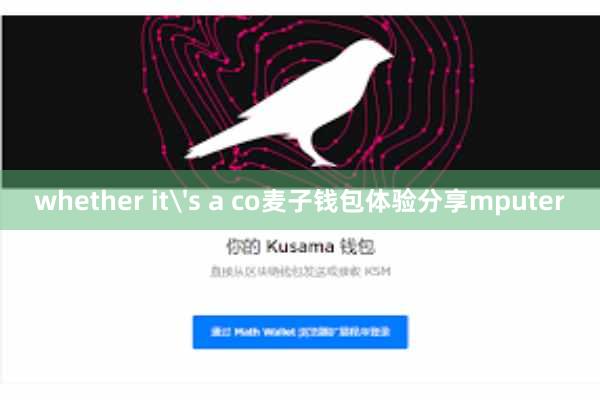 whether it's a co麦子钱包体验分享mputer