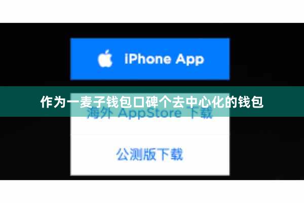 作为一麦子钱包口碑个去中心化的钱包