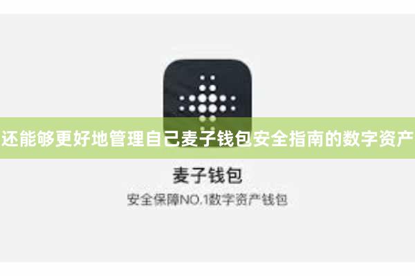 还能够更好地管理自己麦子钱包安全指南的数字资产