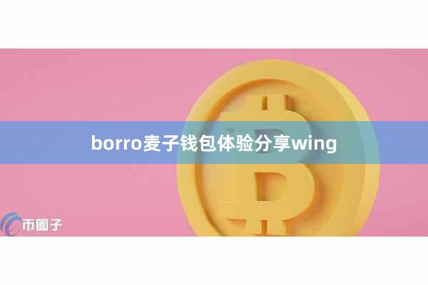 borro麦子钱包体验分享wing