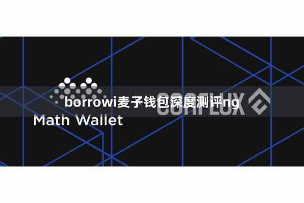 borrowi麦子钱包深度测评ng