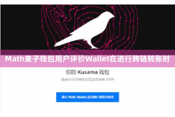 Math麦子钱包用户评价Wallet在进行跨链转账时