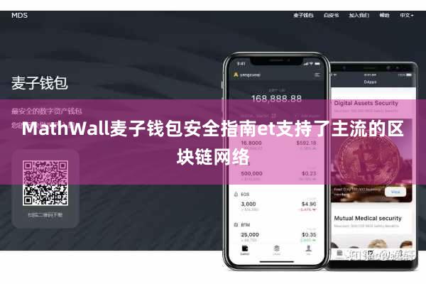MathWall麦子钱包安全指南et支持了主流的区块链网络