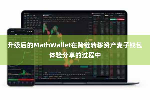 升级后的MathWallet在跨链转移资产麦子钱包体验分享的过程中