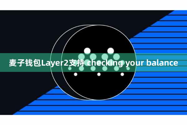 麦子钱包Layer2支持 checking your balance