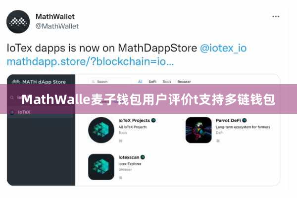 MathWalle麦子钱包用户评价t支持多链钱包