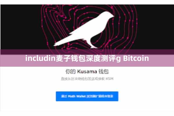 includin麦子钱包深度测评g Bitcoin