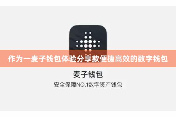 作为一麦子钱包体验分享款便捷高效的数字钱包