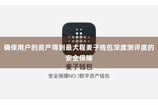 确保用户的资产得到最大程麦子钱包深度测评度的安全保障