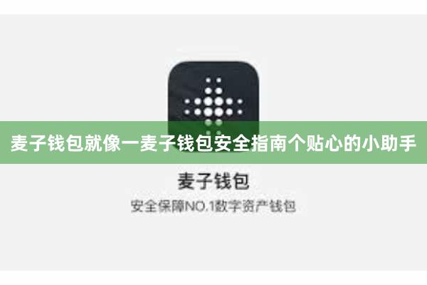 麦子钱包就像一麦子钱包安全指南个贴心的小助手