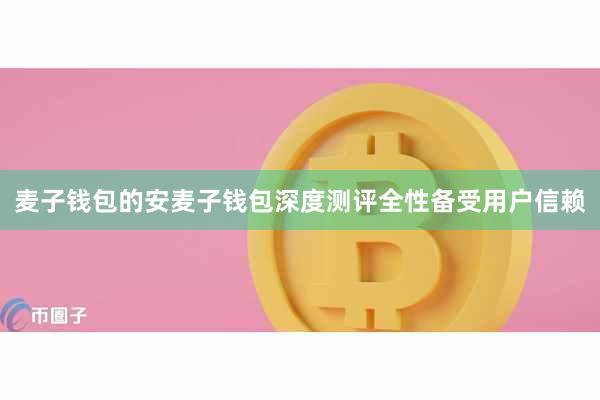 麦子钱包的安麦子钱包深度测评全性备受用户信赖