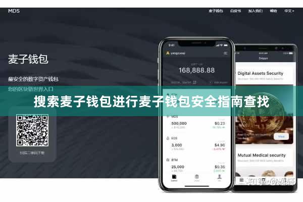 搜索麦子钱包进行麦子钱包安全指南查找