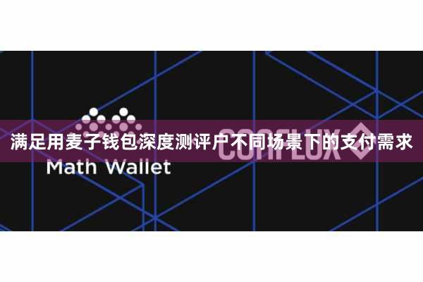 满足用麦子钱包深度测评户不同场景下的支付需求