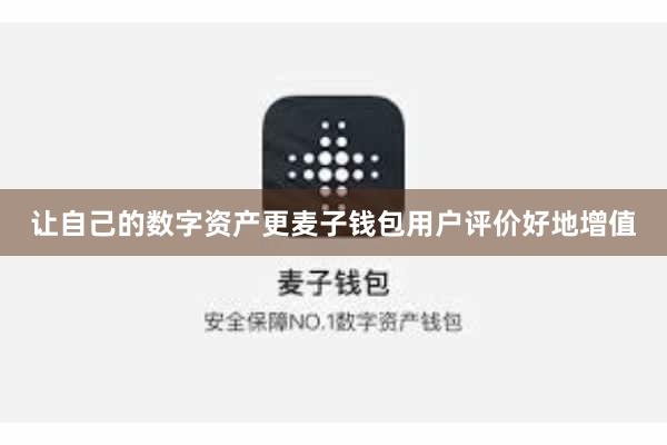 让自己的数字资产更麦子钱包用户评价好地增值