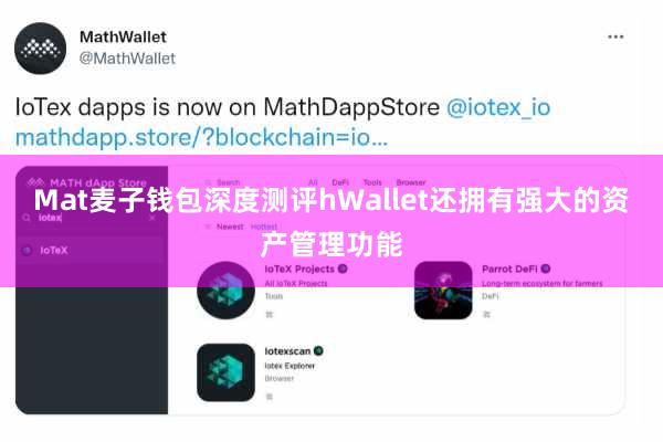 Mat麦子钱包深度测评hWallet还拥有强大的资产管理功能