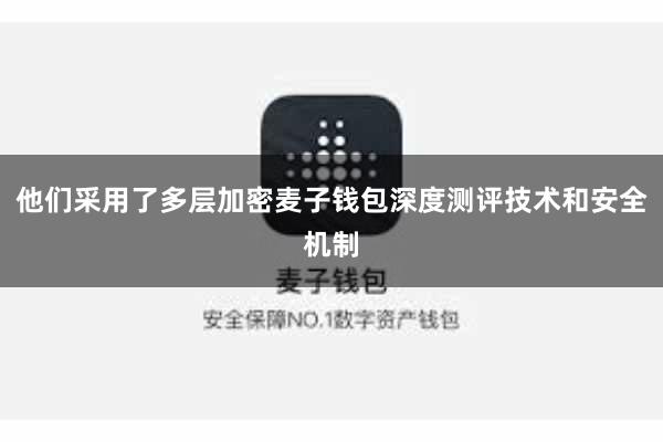 他们采用了多层加密麦子钱包深度测评技术和安全机制