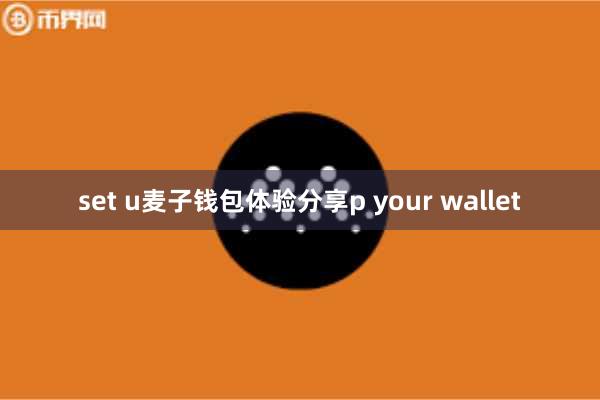 set u麦子钱包体验分享p your wallet