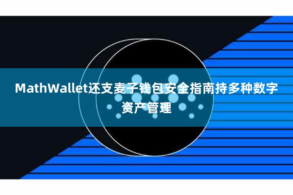 MathWallet还支麦子钱包安全指南持多种数字资产管理