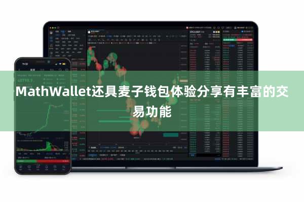 MathWallet还具麦子钱包体验分享有丰富的交易功能